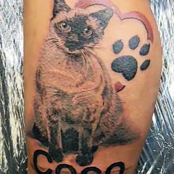 Animal Portrait by Frost