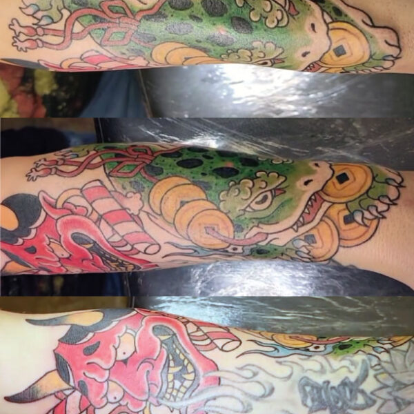 Japanese Sleeve by Frost